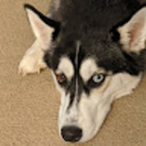 Meet your Posher, Jamie